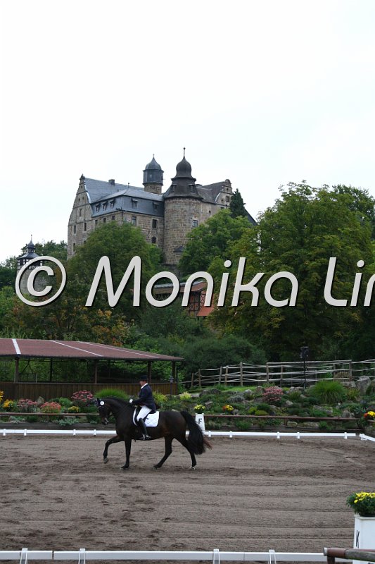 009M7402_Clio_Dressur M.JPG